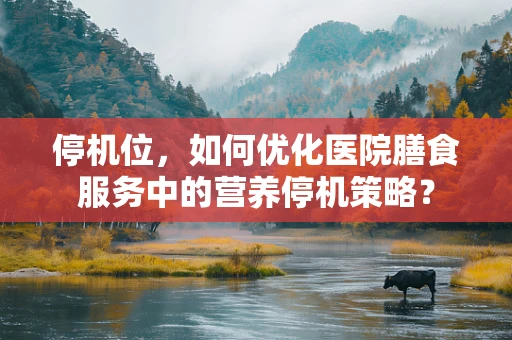 停机位，如何优化医院膳食服务中的营养停机策略？