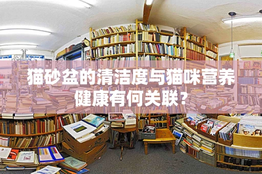 猫砂盆的清洁度与猫咪营养健康有何关联？