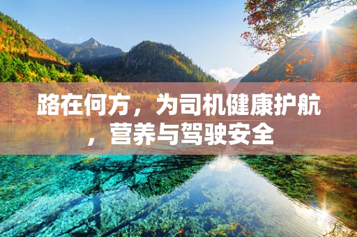 路在何方，为司机健康护航，营养与驾驶安全