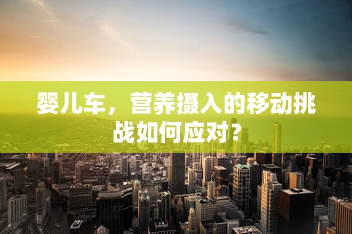 婴儿车，营养摄入的移动挑战如何应对？