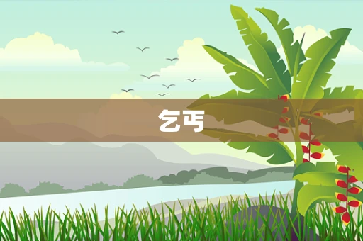 乞丐