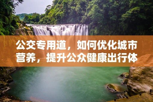公交专用道，如何优化城市营养，提升公众健康出行体验？
