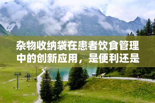 杂物收纳袋在患者饮食管理中的创新应用，是便利还是隐患？