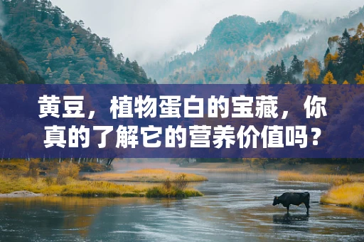 黄豆，植物蛋白的宝藏，你真的了解它的营养价值吗？