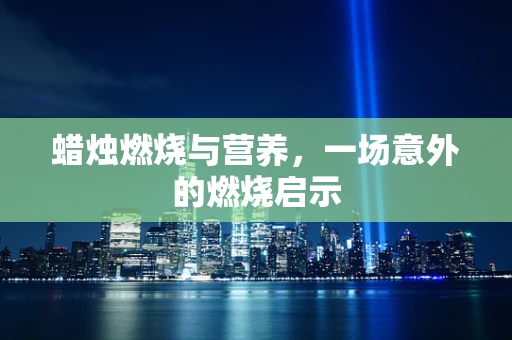 蜡烛燃烧与营养，一场意外的燃烧启示