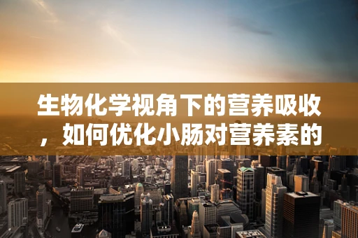 生物化学视角下的营养吸收，如何优化小肠对营养素的吸收效率？