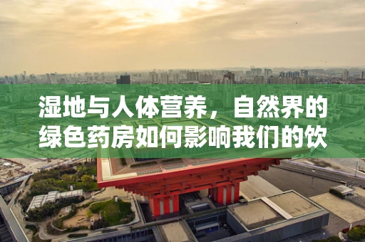 湿地与人体营养，自然界的绿色药房如何影响我们的饮食选择？