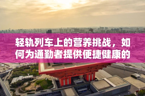轻轨列车上的营养挑战，如何为通勤者提供便捷健康的餐饮选择？