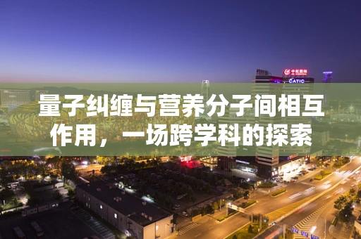 量子纠缠与营养分子间相互作用，一场跨学科的探索