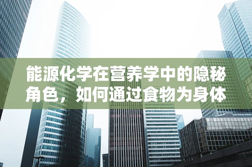 能源化学在营养学中的隐秘角色，如何通过食物为身体‘加油’？