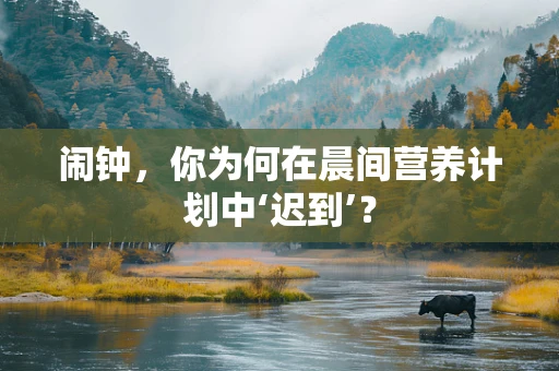 闹钟，你为何在晨间营养计划中‘迟到’？