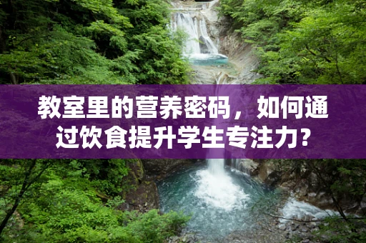 教室里的营养密码，如何通过饮食提升学生专注力？