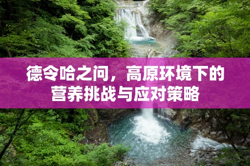 德令哈之问，高原环境下的营养挑战与应对策略