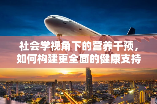 社会学视角下的营养干预，如何构建更全面的健康支持体系？