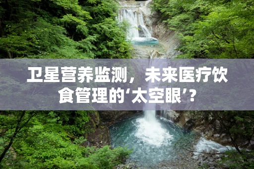 卫星营养监测，未来医疗饮食管理的‘太空眼’？