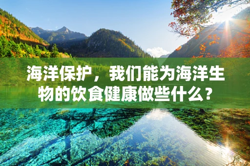 海洋保护，我们能为海洋生物的饮食健康做些什么？
