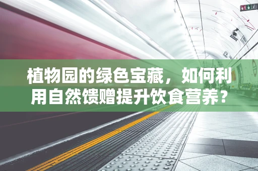 植物园的绿色宝藏，如何利用自然馈赠提升饮食营养？