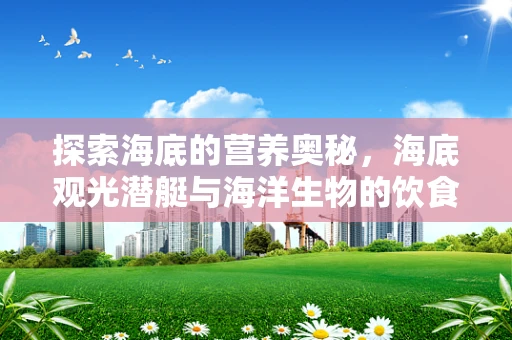 探索海底的营养奥秘，海底观光潜艇与海洋生物的饮食偏好