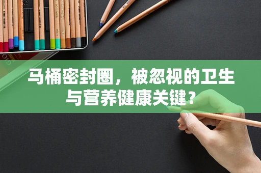 马桶密封圈，被忽视的卫生与营养健康关键？