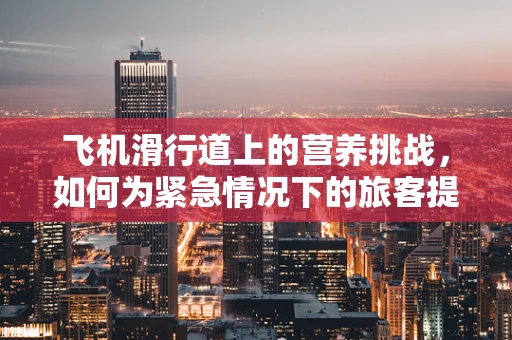 飞机滑行道上的营养挑战，如何为紧急情况下的旅客提供即时能量补给？