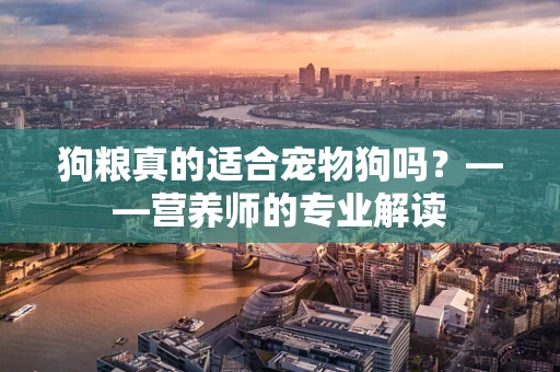 狗粮真的适合宠物狗吗？——营养师的专业解读