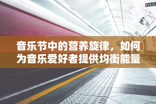 音乐节中的营养旋律，如何为音乐爱好者提供均衡能量？