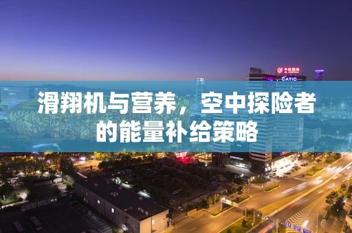 滑翔机与营养，空中探险者的能量补给策略