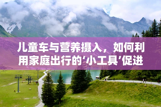 儿童车与营养摄入，如何利用家庭出行的‘小工具’促进孩子健康饮食习惯？