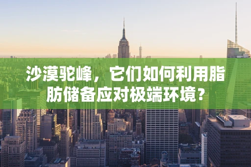 沙漠驼峰，它们如何利用脂肪储备应对极端环境？
