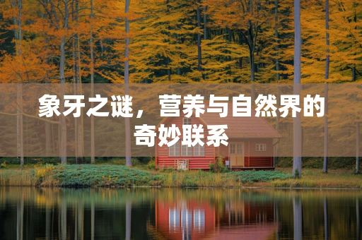 象牙之谜，营养与自然界的奇妙联系