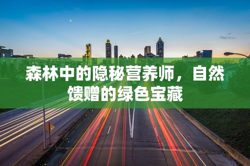 森林中的隐秘营养师，自然馈赠的绿色宝藏