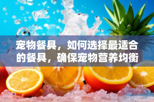 宠物餐具，如何选择最适合的餐具，确保宠物营养均衡？