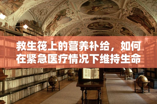 救生筏上的营养补给，如何在紧急医疗情况下维持生命？