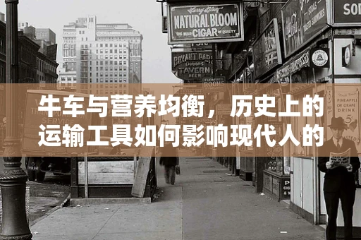 牛车与营养均衡，历史上的运输工具如何影响现代人的饮食选择？