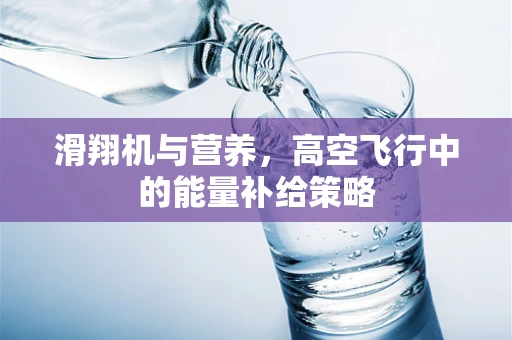 滑翔机与营养，高空飞行中的能量补给策略