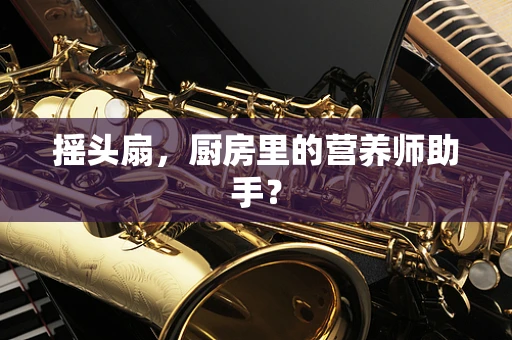摇头扇，厨房里的营养师助手？