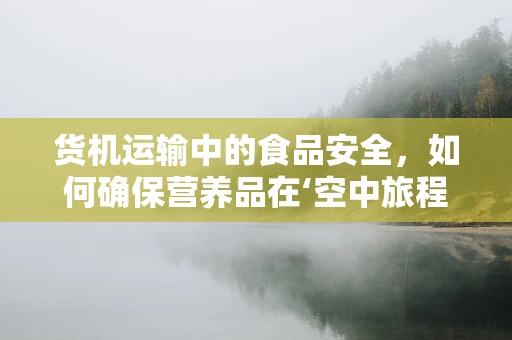 货机运输中的食品安全，如何确保营养品在‘空中旅程’中不失真？