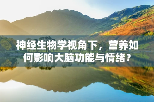 神经生物学视角下，营养如何影响大脑功能与情绪？