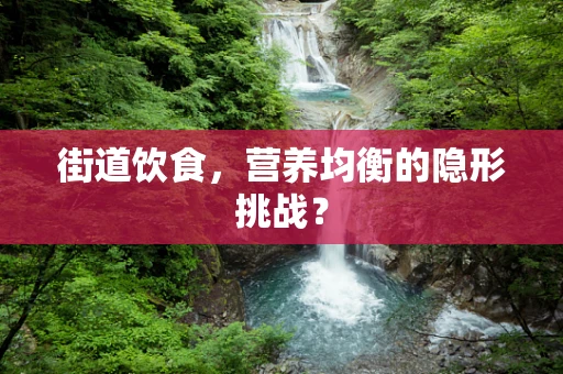 街道饮食，营养均衡的隐形挑战？