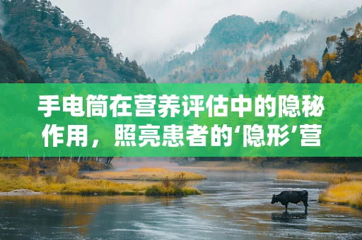 手电筒在营养评估中的隐秘作用，照亮患者的‘隐形’营养状态