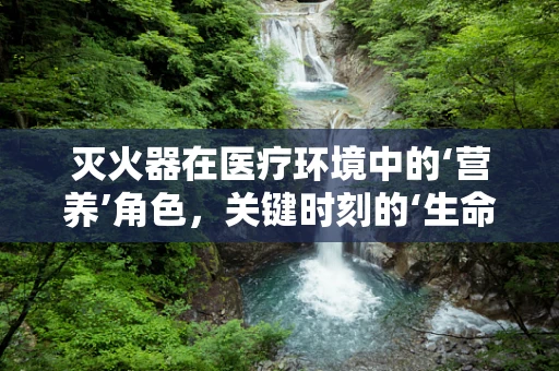 灭火器在医疗环境中的‘营养’角色，关键时刻的‘生命补给’？
