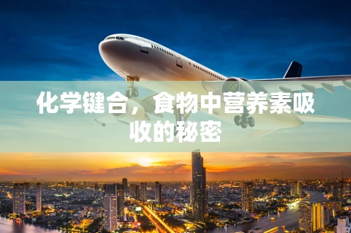 化学键合，食物中营养素吸收的秘密