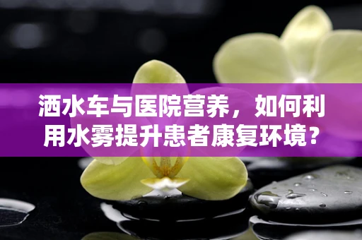 洒水车与医院营养，如何利用水雾提升患者康复环境？