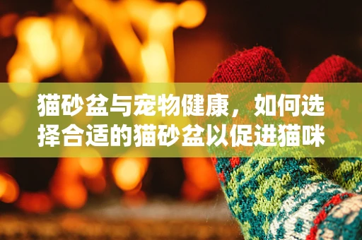 猫砂盆与宠物健康，如何选择合适的猫砂盆以促进猫咪的泌尿系统健康？