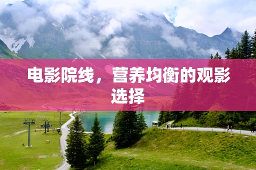电影院线，营养均衡的观影选择