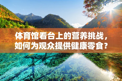 体育馆看台上的营养挑战，如何为观众提供健康零食？