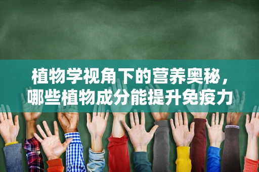 植物学视角下的营养奥秘，哪些植物成分能提升免疫力？