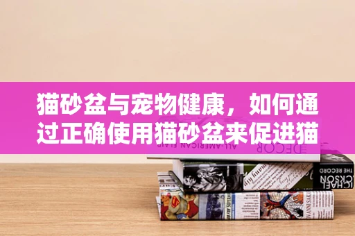 猫砂盆与宠物健康，如何通过正确使用猫砂盆来促进猫咪的消化与营养吸收？