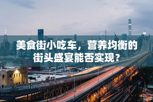 美食街小吃车，营养均衡的街头盛宴能否实现？