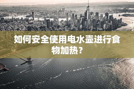 如何安全使用电水壶进行食物加热？